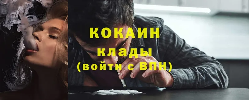 купить наркотики цена  Щёкино  Cocaine FishScale 